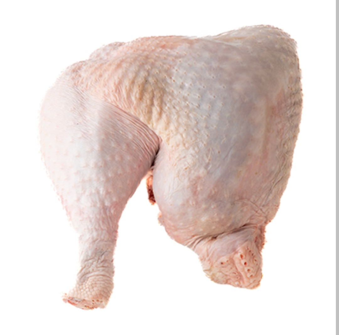 ران بوقلمون