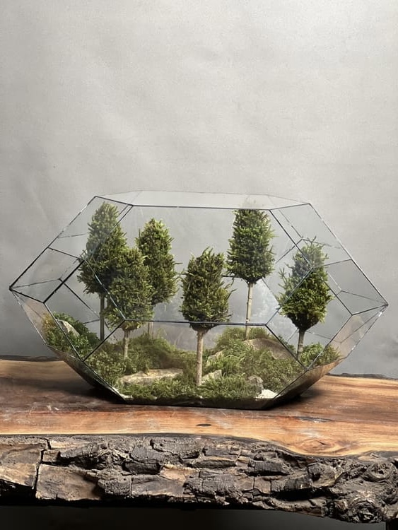 وابی کوزا لاکچری طرح اسلیپ دایموند (تراریوم)